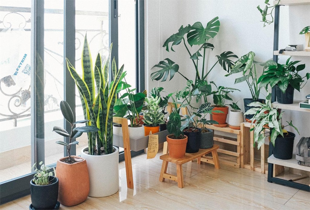 ¡Llene de primavera su vivienda gracias a la decoración!