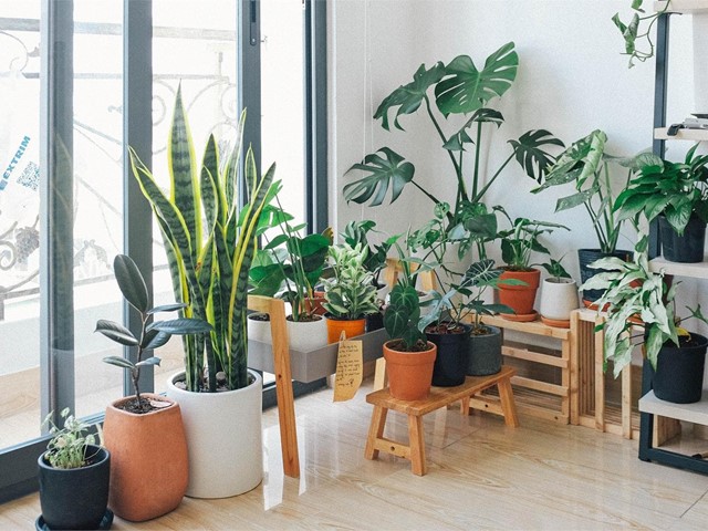 ¡Llene de primavera su vivienda gracias a la decoración!